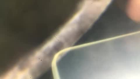 Snapshot of pablowablo chatting on September 23, 3:17 am pablowablo online show from September 23, 3:17 am