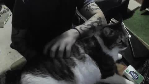 panoramix8080 online show from November 2, 5:45 am