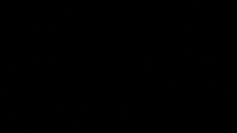 Paul online show from February 16, 1:38 pm