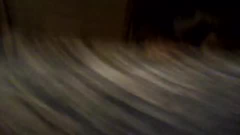 PeachesnSteve69 online show from February 15, 1:00 am