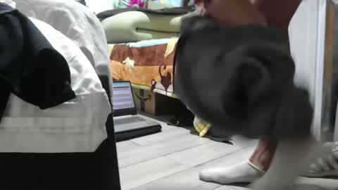 Snapshot of pepes939 chatting on December 25, 11:53 pm pepe39 online show from December 25, 11:53 pm