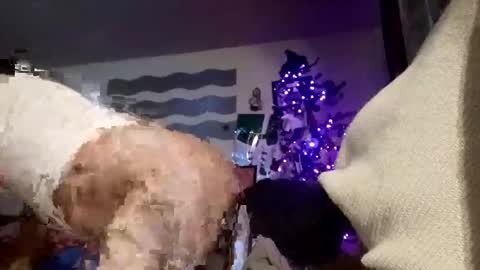 phillipdee online show from November 17, 6:00 pm