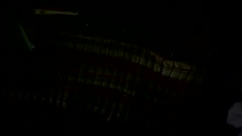 Snapshot of pleaseownme2 chatting on September 13, 1:12 pm pleaseownme2 online show from September 13, 1:12 pm