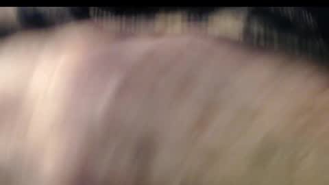 pllkgh45ymn online show from January 3, 5:42 pm