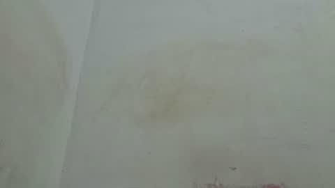 poli online show from December 3, 2:39 am