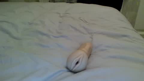 TheMan002 online show from January 2, 5:29 pm