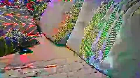 psytube online show from October 22, 9:18 pm
