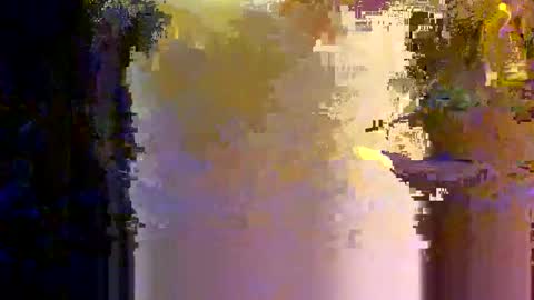Snapshot of ptut82 chatting on October 19, 9:51 pm ptut82 online show from October 19, 9:51 pm