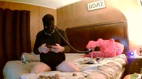 puplyfe online show from November 17, 7:55 am