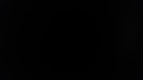 rayolex online show from February 15, 10:22 am