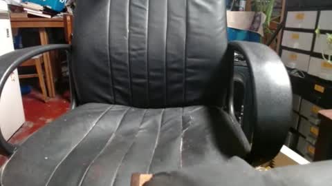 Ray online show from November 18, 12:03 am