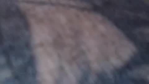 realrubpirate online show from February 22, 8:59 am