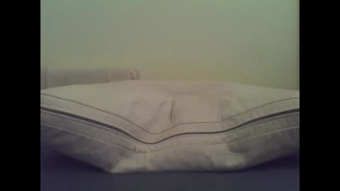 redfur_tigrrluvr online show from December 26, 11:21 am