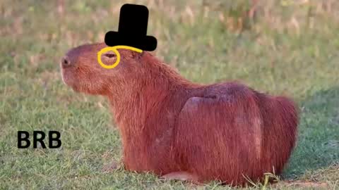 Snapshot of revivedunknown chatting on October 22, 7:16 pm Chris online show from October 22, 7:16 pm