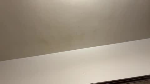 robertjamee online show from November 3, 3:43 am