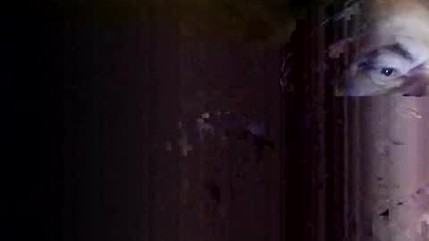 rotorranch online show from October 26, 5:09 am