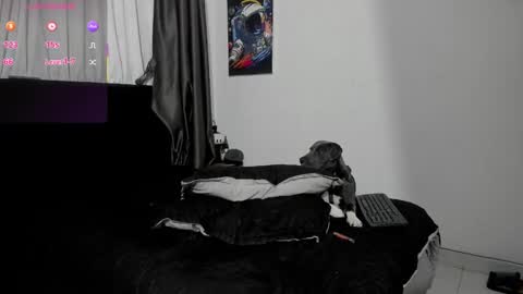 Ryan 15 online show from November 19, 12:32 am