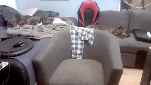 Snapshot of ryanteedaddy chatting on September 30, 10:30 am Ryan Tee online show from September 30, 10:30 am