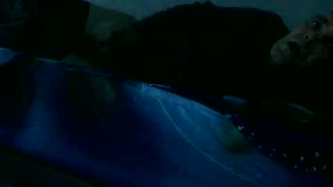 Snapshot of rytas02 chatting on December 12, 8:14 am arte online show from December 12, 8:14 am