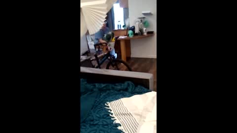 salis1981 online show from April 2, 12:30 am