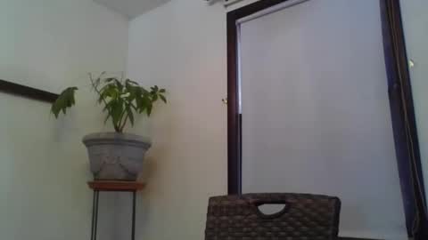 scottpbi52 online show from January 26, 2:30 pm