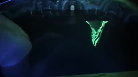 Seeker online show from April 19, 8:25 am