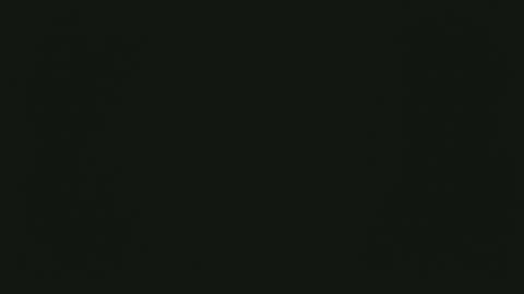 selfpound online show from December 15, 4:48 pm