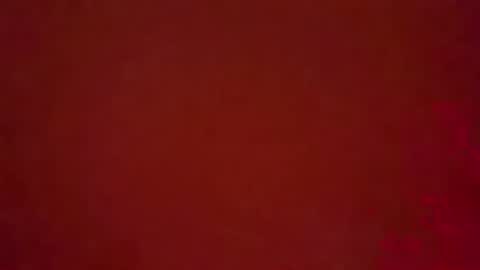 SENS3439 online show from November 24, 8:37 am