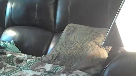 Sharkey644 online show from March 26, 3:27 pm