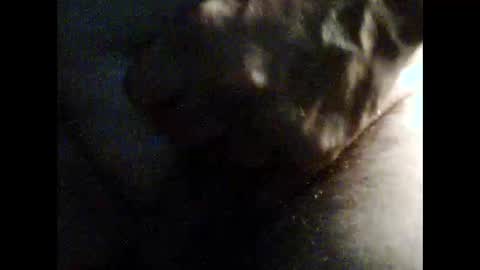 shavedguyadelaide online show from January 16, 3:15 pm