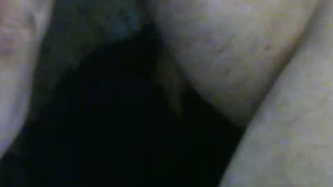 Snapshot of sherbearxrayghost chatting on October 3, 11:54 pm sherbearxrayghost online show from October 3, 11:54 pm