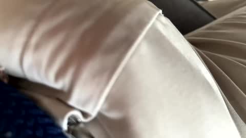 SilentPants online show from December 5, 12:33 pm