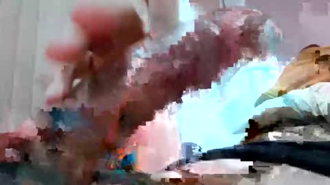 silomar online show from November 12, 3:23 am