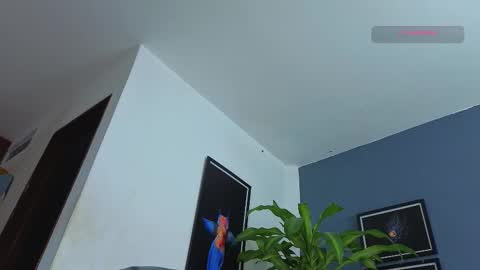 silvabranko online show from December 23, 1:03 am