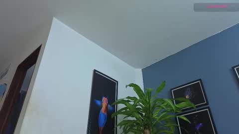 silvabranko online show from November 29, 1:07 am