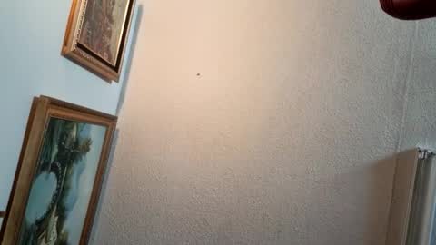 SILVA online show from March 1, 10:20 pm