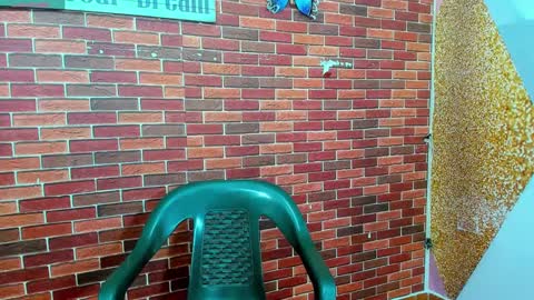 SIR RYANT online show from February 27, 12:34 pm