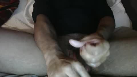 sjbbc669824 online show from October 6, 8:08 am