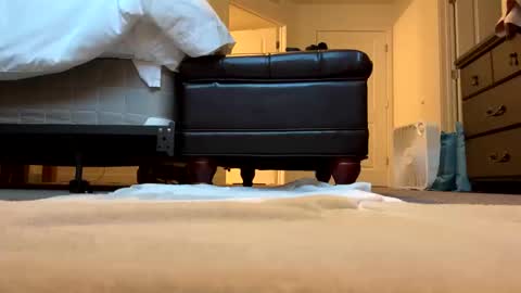 BlowandGo online show from October 13, 12:16 am