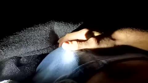 slimbigd69420 online show from November 17, 4:59 am