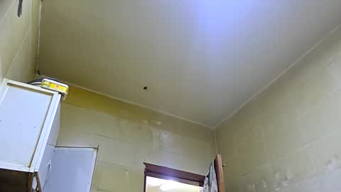 slothslav online show from November 2, 3:55 am