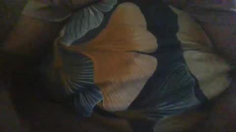 Snapshot of slothslav chatting on December 18, 12:40 pm slothslav online show from December 18, 12:40 pm