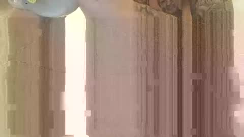 smallone8825 online show from February 21, 6:29 am