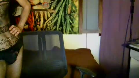 Snapshot of smile3555 chatting on December 25, 2:03 am willy online show from December 25, 2:03 am