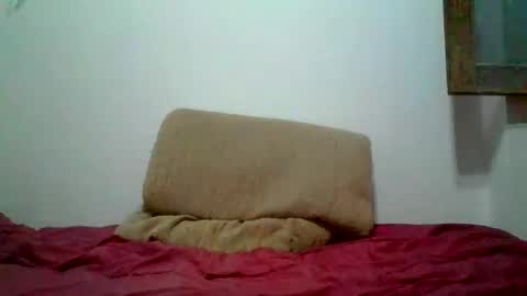 Snapshot of smile3555 chatting on February 11, 11:33 pm willy online show from February 11, 11:33 pm