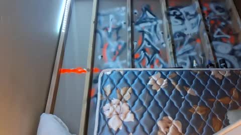 sohan730903 online show from October 2, 10:41 am