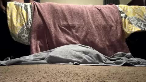 Snapshot of solartouch chatting on October 5, 5:11 am solartouch online show from October 5, 5:11 am