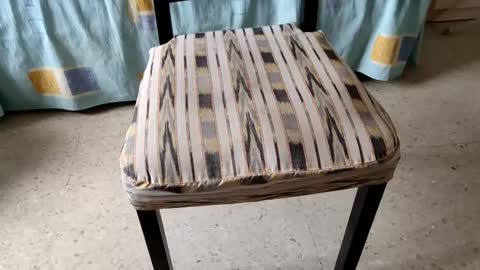 Leo online show from November 7, 3:04 pm