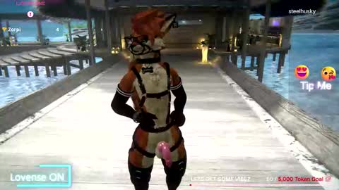 spaydewolfxxx online show from December 1, 1:52 am