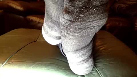 Starpizzle online show from November 26, 6:33 pm